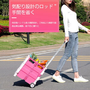 }\yP5{z ܂肽 L[J[g Lv VbsO J[g AEghA y LX^[t ނ tBbVO ֗ ReiJ[g ReiL[ {bNX