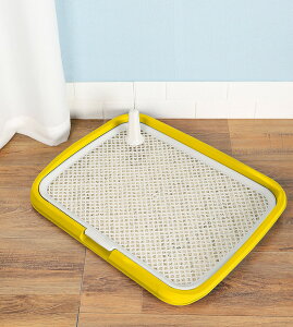 y[pgC ybggC ^ ybg bV gC pgCg[ ~ ybgpi gC 65cm50cm ̃gC g[jO ȒP R pgC{b