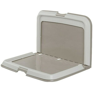 gCg[@܂肽݁@gC@g[jOpbh@gC@^@^@L^g[@M[@J[L