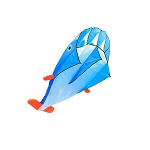   ̃CJ XJCJCg   yʂŏv gݗȂ CJ  g AEghA r[`  q v[gȂǍœK ߋ q l ƏS҂̂߂