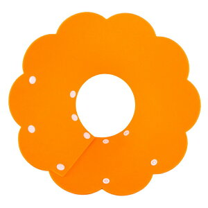 L  GUxXJ[ y p ی  D pEFA 畆a 킢 ߉\ _炩 