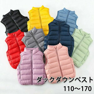 LbY q _ExXg LbY _bN_E j̎q ̎q ȃxXg AE^[ Ci[ xXg _E H ~ t h q ǂ AEghA t@Xi[ LbYxXg AE^[ m