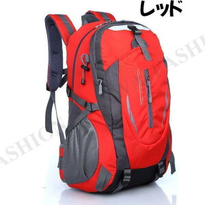 obNpbNhYfB[Xy30LbNTbNbNLvoRʊwɂ30bg/oRbN