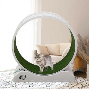 LbgzC[ L 񂵎 bNu ÉmCY Lp[i[ L jOzC[ LbgEH[N ^s XgX LbgjO}V ^Lp 