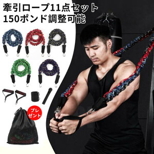 }\yP5{z150|h 11_Zbg ̓[v [\ ƒptBbglX O\ȃA[ tBbglX g[jOpi p[`[u ؃g W g