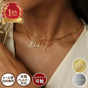 �y�ő�20��OFF �������N�[�|���z�z���z �s�I�ׂ�10�t�H���g�t�l�[�� �l�b�N���X �J�X�^�� �C�j�V���� 316L �T�[�W�J���X�e�����X ���S ���f�B�[�X �S�[���h �V���o�[ �A���t�@�x�b�g �W���G��