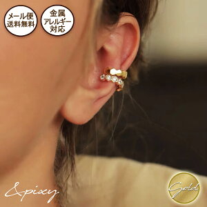 [֑njJ C[Jt CO Nbv d˒ T[WJXeX 316L AM[Ή S fB[X A S[h Vv ɗD  