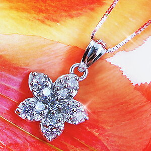 sFrom HawaiitvAt[() 14KzCgS[h WG lbNXyz AM[Ή fB[X K14 14 󂠂 ؚ Vv XLWG[ 40cm  lC  