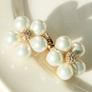 [֑p[&NX^ t[sAX/CO fB[X S[h lC s ꂢ ItBX ؂₩ ؍ 傫 Ԃ GKg 炫 ꂢ i 