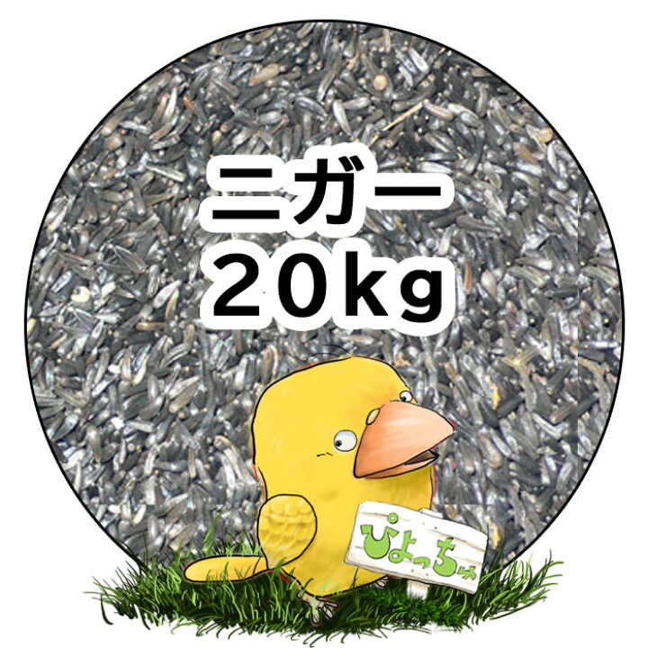 ぴよっちゅ 皮付きのエサ 20kg 紙袋入 :鳥の餌 インコ えさ 通販 紅アワ 5kgx3