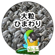 大粒 ひまわりの種 ：鳥　餌 インコ えさ