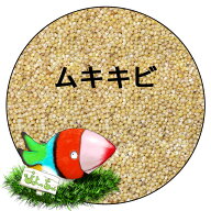ムキキビ 皮むきキビ 鳥の餌 500g-10kg おやつ ぴよっちゅ