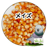 メイズ （とうもろこし） ：鳥　餌 ハト えさ