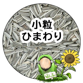 小粒 ひまわりの種 ：鳥の餌 インコ えさ