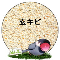 玄 キビ ：鳥　餌 インコ えさ
