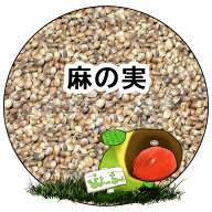 麻の実：鳥　餌 インコ えさ