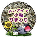 小粒 ひまわりの種 ：鳥　餌 インコ えさ　粒 丸い