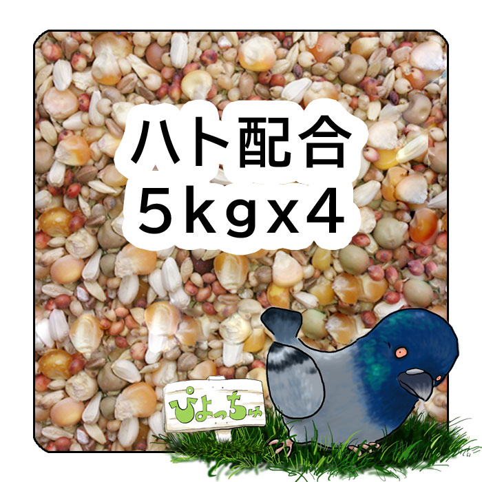 購買 ぴよっちゅ お得なキャンペーンを実施中 ハト 配合 5kg×4 えさ ： 鳩の餌