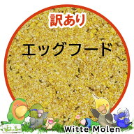 [訳あり大特価] 賞味期限2026/11/6　鳥さんの副食　wittemolen　エッグフード