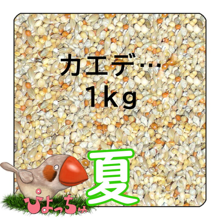 楽天市場 ぴよっちゅ カエデ鳥 文鳥夏用ブレンド 1kg 鳥の餌 インコ えさ ぴよっちゅ 楽天市場店