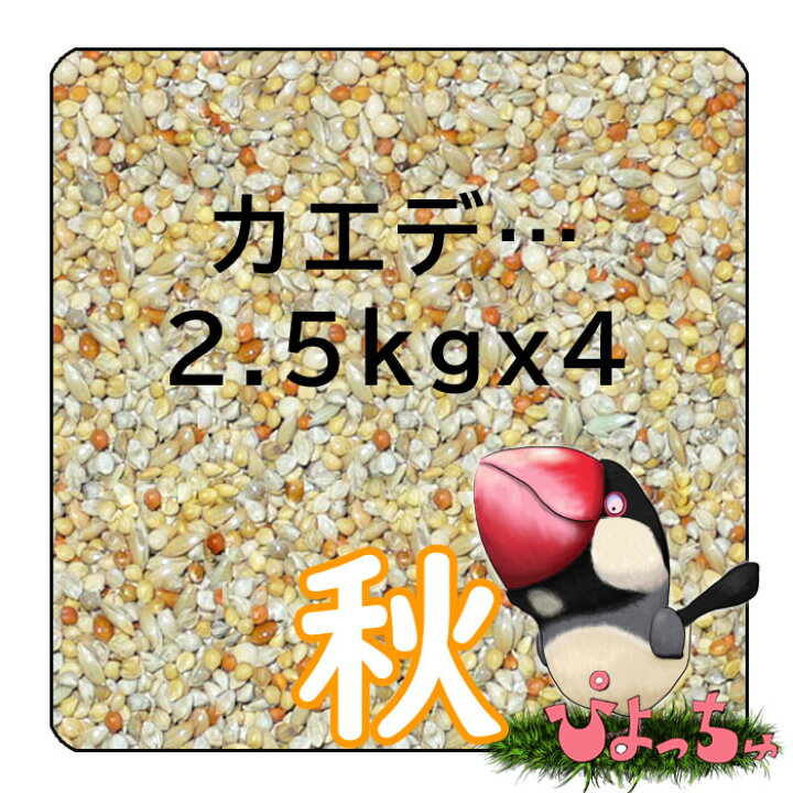 楽天市場 ぴよっちゅ カエデ鳥 文鳥秋用ブレンド 2 5kg 4 鳥の餌 えさ ぴよっちゅ 楽天市場店