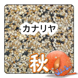 ぴよっちゅ　カナリヤ秋用ブレンド ：　鳥の餌　えさ