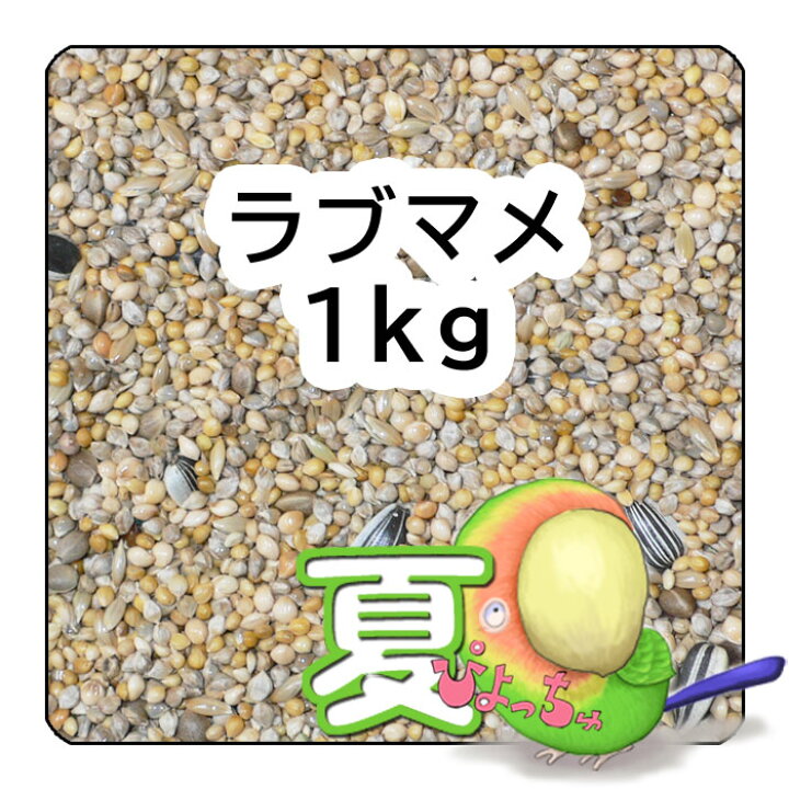 ぴよっちゅ ラブバード・マメルリハ・中型インコ夏用ブレンド 1kg :鳥の餌 インコ えさ ぴよっちゅ メイズ(とうもろこし) 5kgx2