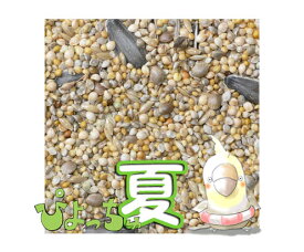 楽天市場 鶏 餌 kgの通販