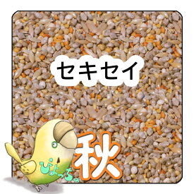 ぴよっちゅ　セキセイ秋用ブレンド ：鳥の餌 インコ えさ