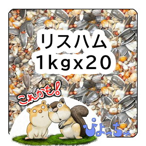 ҂@X AnX^[ ̃uh F a@@GT