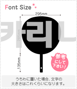 nO؂蕶Zbg@yJi(KARINA)z1̃TCYF3L(őTCY)fށFJbeBOV[g