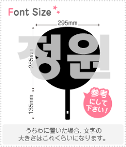 nO؂蕶Zbg@yWEH(JungWon)z1̃TCYF3L(őTCY)fށFJbeBOV[g