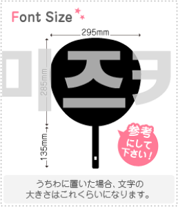 nO؂蕶Zbg@y݂(Mizuki)z1̃TCYF3L(őTCY)fށFJbeBOV[g