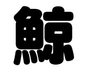 ؂蕶@y~zTCYFS(80×80mm)fށFJbeBOV[g