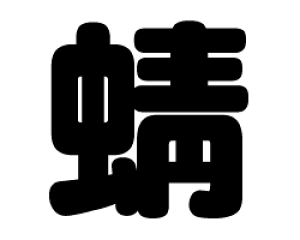 ؂蕶@y呁zTCYFS(80×80mm)fށFJbeBOV[g