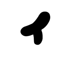 ؂蕶@y`F[B1zTCYFM(120×120mm)fށFzOV[gEuV[g