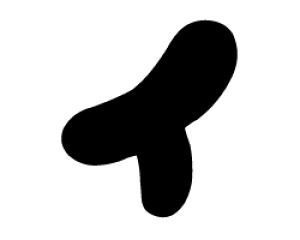 ؂蕶@y`F[C1zTCYFM(120×120mm)fށFzOV[gEuV[g