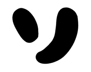 ؂蕶@y`F[\1zTCYFS(80×80mm)fށFJbeBOV[g