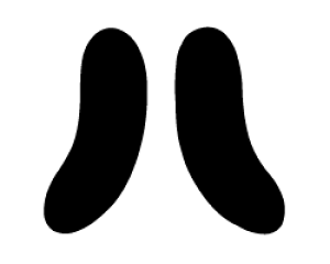 ؂蕶@y`F[n1zTCYF3L(őTCY)fށFzOV[gEuV[g