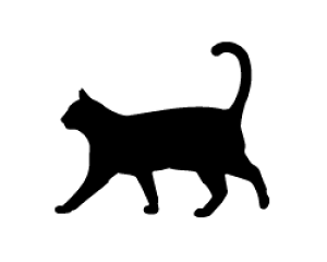 ؂蕶@yL10zTCYF3L(őTCY)fށFJbeBOV[g