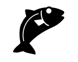 ؂蕶@y15zTCYFLL(200×200mm)fށFzOV[gEuV[g