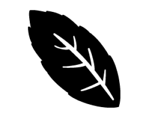 ؂蕶@y͂1zTCYFM(120×120mm)fށFzOV[gEuV[g