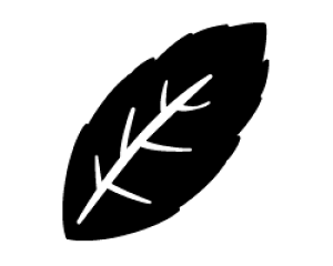 ؂蕶@y͂2zTCYFM(120×120mm)fށFzOV[gEuV[g