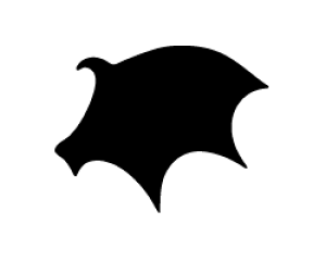 ؂蕶@yH4zTCYF3L(őTCY)fށFzOV[gEuV[g