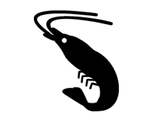 ؂蕶@yCV1zTCYFS(80×80mm)fށFzOV[gEuV[g