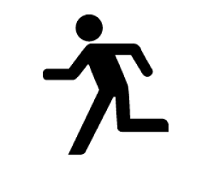 ؂蕶@ysNgO1zTCYF3L(őTCY)fށFJbeBOV[g