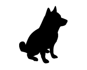 ؂蕶@y4zTCYFL(140×140mm)fށFJbeBOV[g