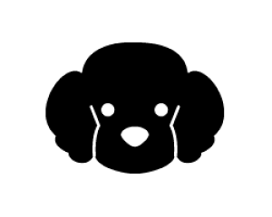 ؂蕶@y7zTCYFM(120×120mm)fށFJbeBOV[g