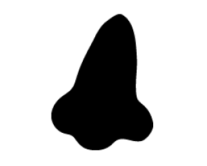 ؂蕶@y@1zTCYFS(80×80mm)fށFzOV[gEuV[g