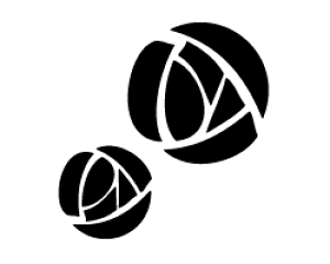 ؂蕶@yKN4io4jzTCYFS(80×80mm)fށFJbeBOV[g